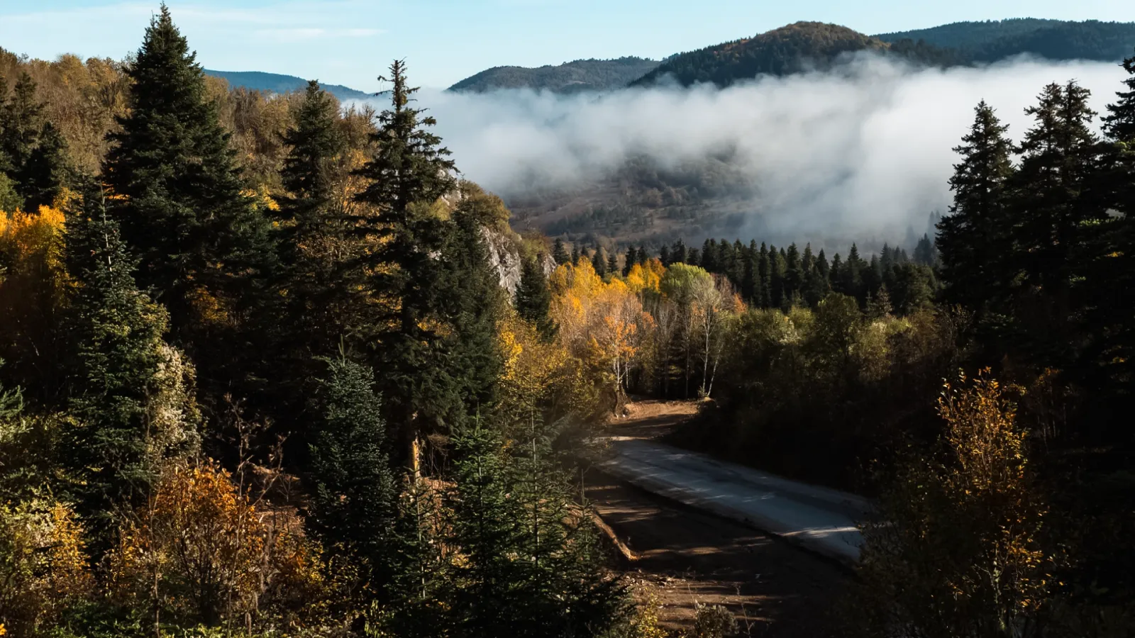 Kamu yararı sırası milli parklarda