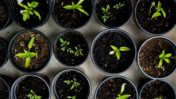 Dünyayı kompost kurtaracak