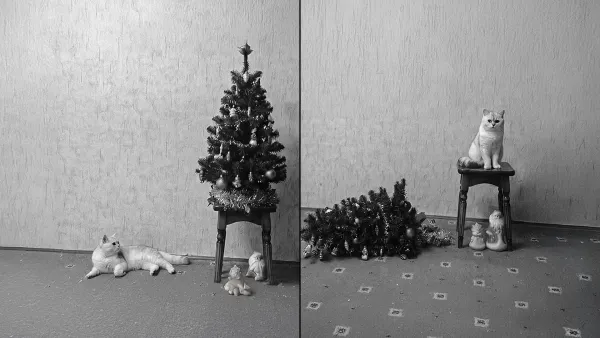 Yeni yıla girerken: Yeni bir ben mi, yeni bir sen mi, yoksa yeni bir biz mi?