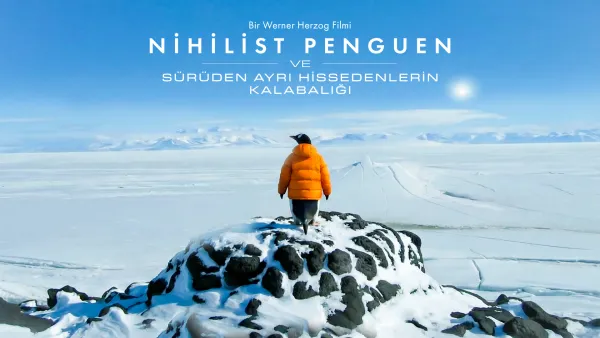 Nihilist penguen ve sürüden ayrı hissedenlerin kalabalığı