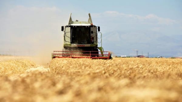 İran’daki savaş dünyayı gıda kıtlığına mı götürüyor?